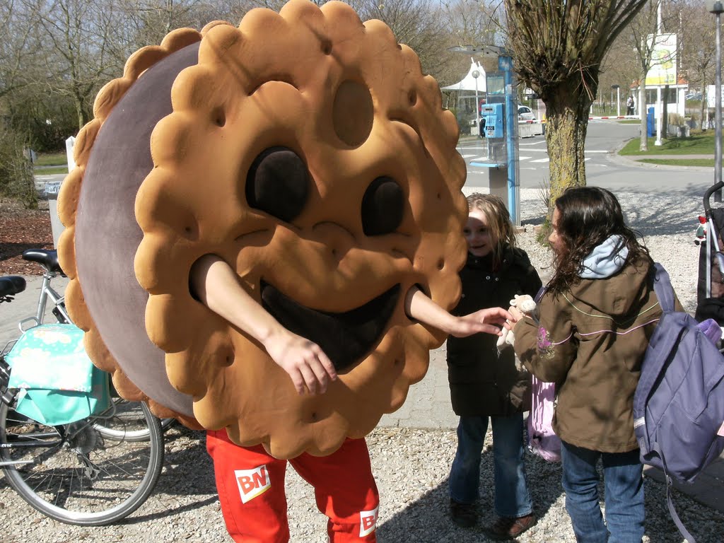 koekjes van &apos;Lu&apos;